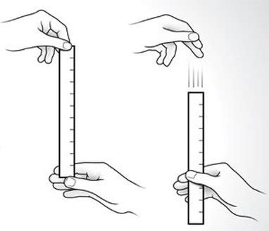 ruler drop test|ruler drop test explained.